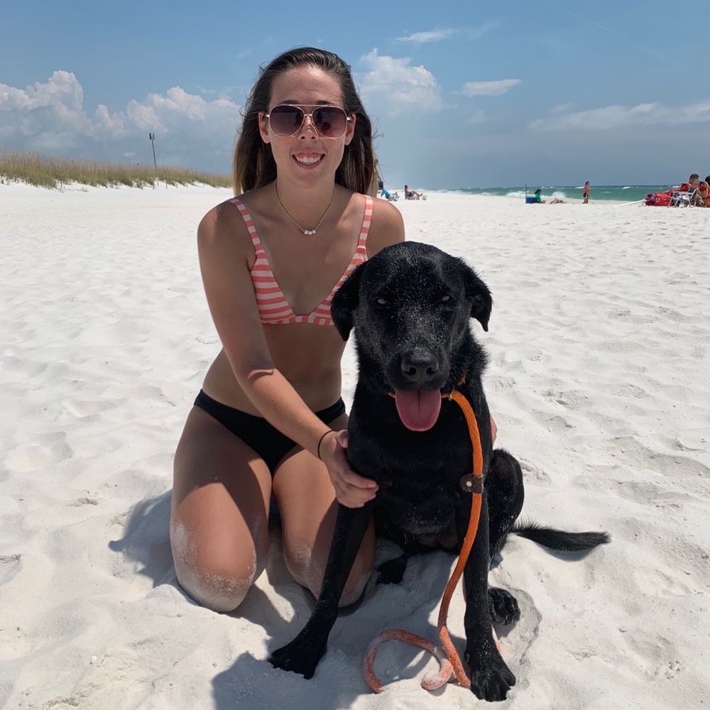 Meet your Posher, Sydney